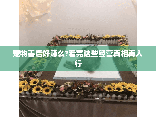 宠物善后好赚么?看完这些经营真相再入行