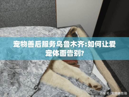 宠物善后服务乌鲁木齐:如何让爱宠体面告别?