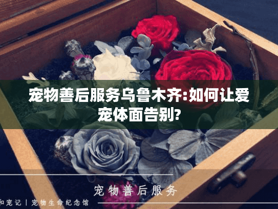 宠物善后服务乌鲁木齐:如何让爱宠体面告别?