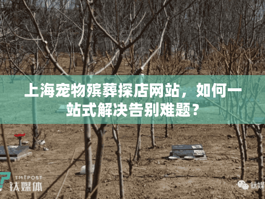 上海宠物殡葬探店网站，如何一站式解决告别难题？