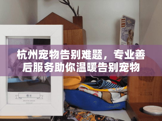 杭州宠物告别难题，专业善后服务助你温暖告别宠物