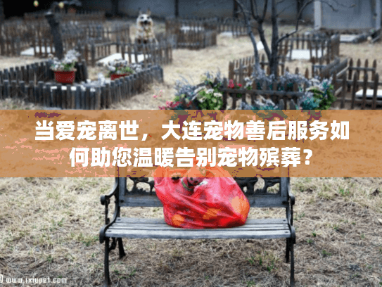 当爱宠离世,大连宠物善后服务如何助您温暖告别宠物殡葬? 当爱宠离世,大连宠物善后服务如何助您温暖告别宠物殡葬?