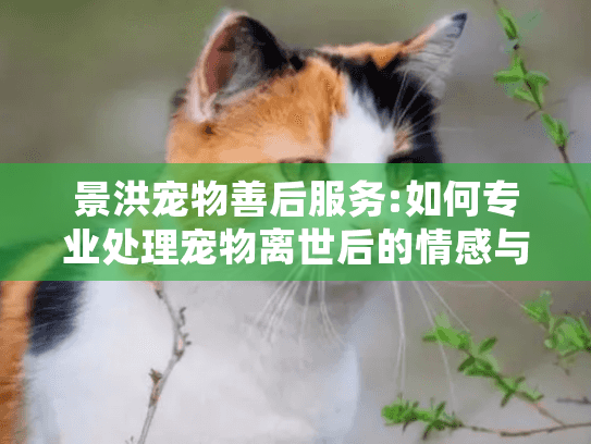 景洪宠物善后服务:如何专业处理宠物离世后的情感与现实难题?