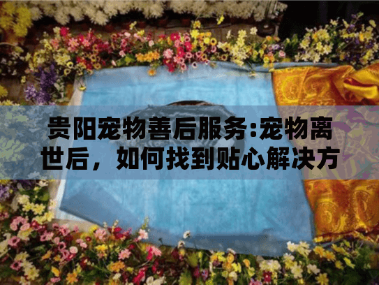 贵阳宠物善后服务:宠物离世后,如何找到贴心解决方案? 贵阳宠物善后服务:宠物离世后,如何找到贴心解决方案?