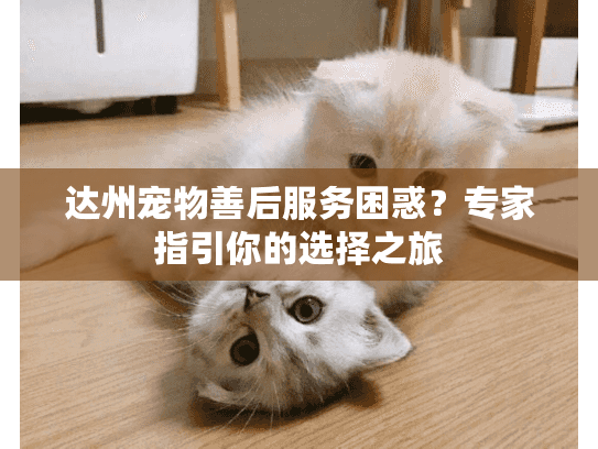 达州宠物善后服务困惑?专家指引你的选择之旅 达州宠物善后服务困惑?专家指引你的选择之旅