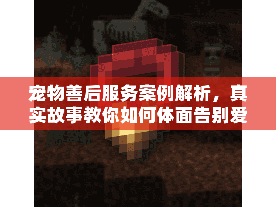 宠物善后服务案例解析，真实故事教你如何体面告别爱宠，避免踩坑