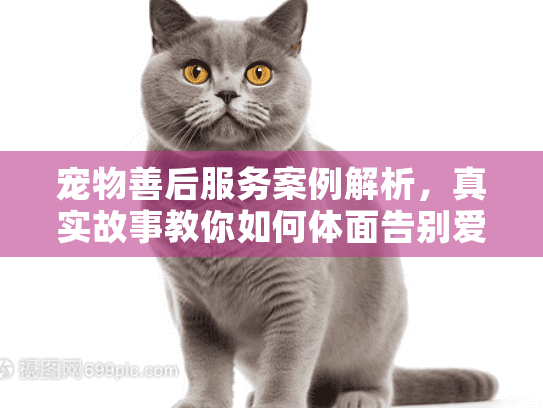 宠物善后服务案例解析，真实故事教你如何体面告别爱宠，避免踩坑