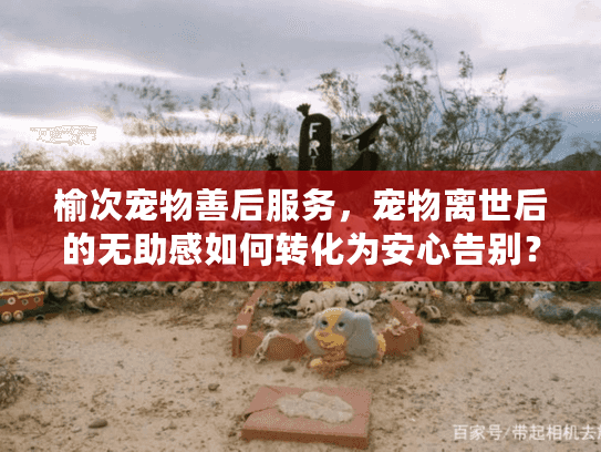 榆次宠物善后服务，宠物离世后的无助感如何转化为安心告别？