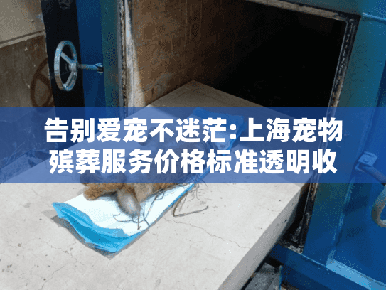 告别爱宠不迷茫:上海宠物殡葬服务价格标准透明收费全解析