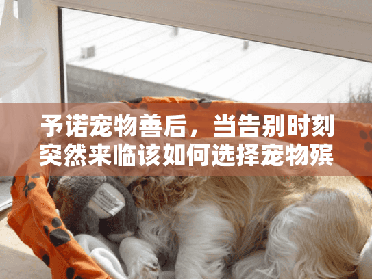 予诺宠物善后，当告别时刻突然来临该如何选择宠物殡葬服务？