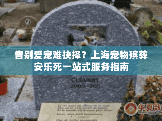 告别爱宠难抉择？上海宠物殡葬安乐死一站式服务指南