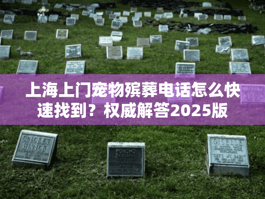 上海上门宠物殡葬电话怎么快速找到？权威解答2025版