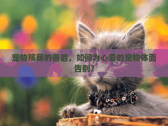 宠物殡葬的善后，如何为心爱的宠物体面告别？