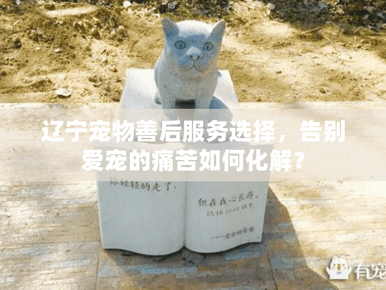 辽宁宠物善后服务选择，告别爱宠的痛苦如何化解？