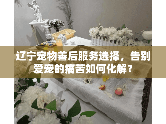 辽宁宠物善后服务选择，告别爱宠的痛苦如何化解？