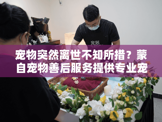 宠物突然离世不知所措？蒙自宠物善后服务提供专业宠物殡葬援助