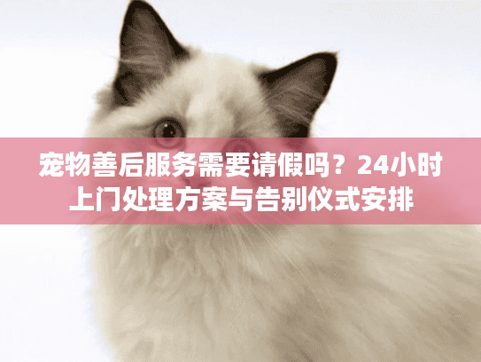 宠物善后服务需要请假吗？24小时上门处理方案与告别仪式安排