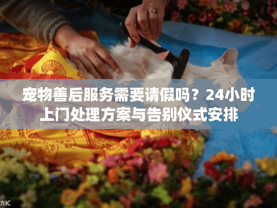 宠物善后服务需要请假吗？24小时上门处理方案与告别仪式安排