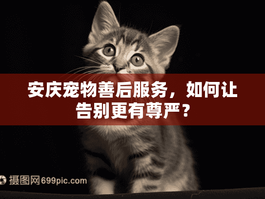 安庆宠物善后服务，如何让告别更有尊严？
