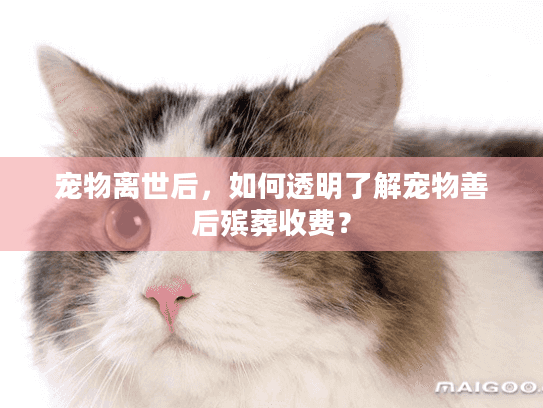 宠物离世后，如何透明了解宠物善后殡葬收费？