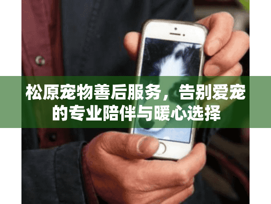 松原宠物善后服务，告别爱宠的专业陪伴与暖心选择