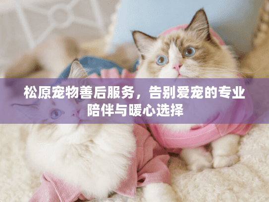 松原宠物善后服务，告别爱宠的专业陪伴与暖心选择