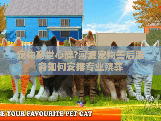 宠物离世心碎?河源宠物善后服务如何安排专业殡葬