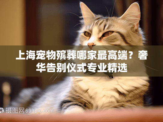 上海宠物殡葬哪家最高端？奢华告别仪式专业精选