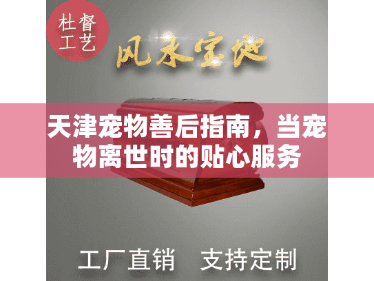 天津宠物善后指南，当宠物离世时的贴心服务