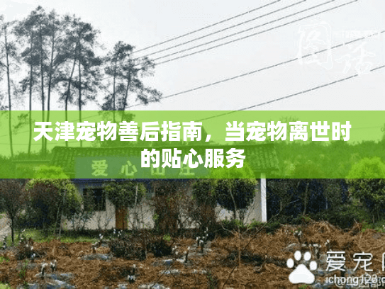 天津宠物善后指南，当宠物离世时的贴心服务