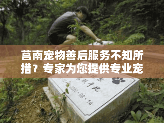 莒南宠物善后服务不知所措？专家为您提供专业宠物殡葬解决方案