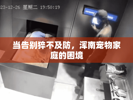 当告别猝不及防，浑南宠物家庭的困境