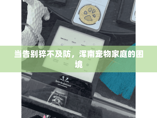 当告别猝不及防，浑南宠物家庭的困境