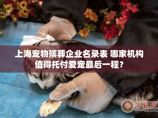 上海宠物殡葬企业名录表 哪家机构值得托付爱宠最后一程？