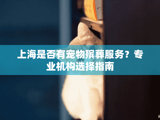 上海是否有宠物殡葬服务？专业机构选择指南
