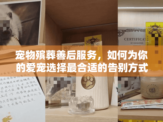 宠物殡葬善后服务，如何为你的爱宠选择最合适的告别方式？