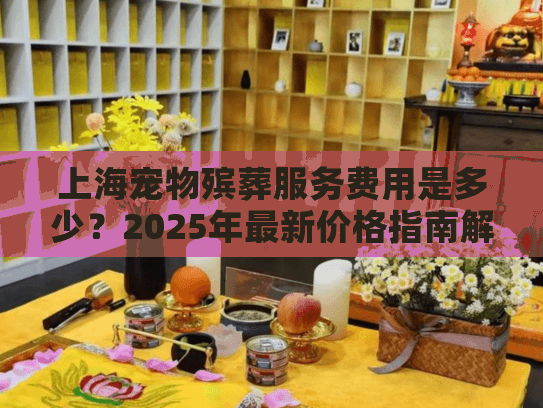 上海宠物殡葬服务费用是多少？2025年最新价格指南解析