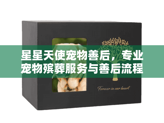 星星天使宠物善后，专业宠物殡葬服务与善后流程全指南