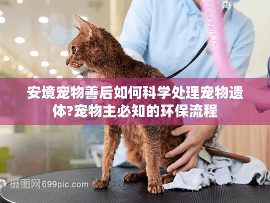安境宠物善后如何科学处理宠物遗体?宠物主必知的环保流程