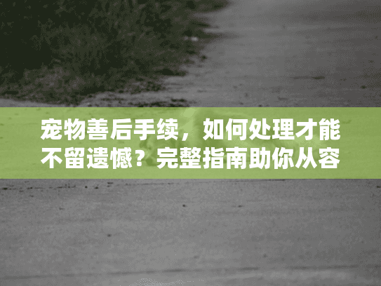宠物善后手续，如何处理才能不留遗憾？完整指南助你从容面对