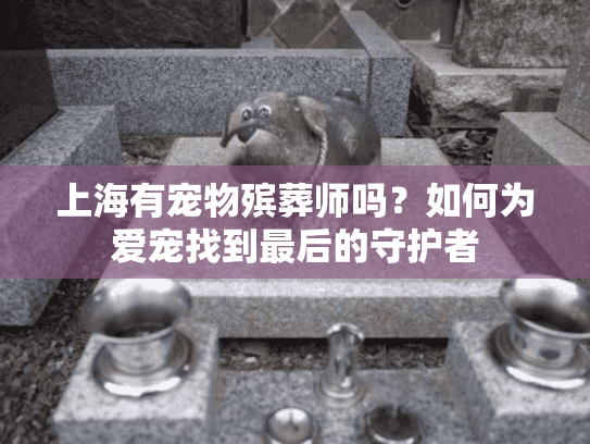 上海有宠物殡葬师吗？如何为爱宠找到最后的守护者