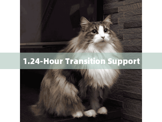 1.24-Hour Transition Support 1.24-Hour Transition Support
