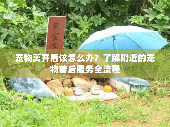 宠物离开后该怎么办？了解附近的宠物善后服务全流程