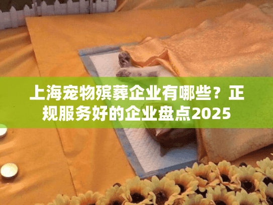 上海宠物殡葬企业有哪些？正规服务好的企业盘点2025
