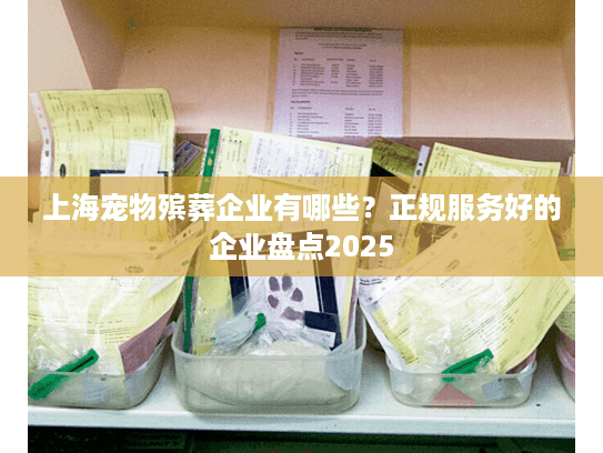 上海宠物殡葬企业有哪些？正规服务好的企业盘点2025