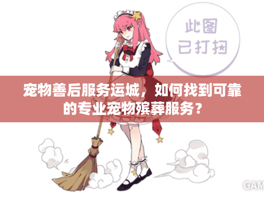 宠物善后服务运城，如何找到可靠的专业宠物殡葬服务？