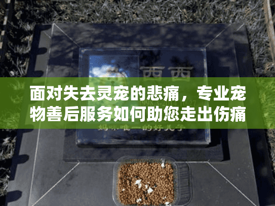 面对失去灵宠的悲痛，专业宠物善后服务如何助您走出伤痛？