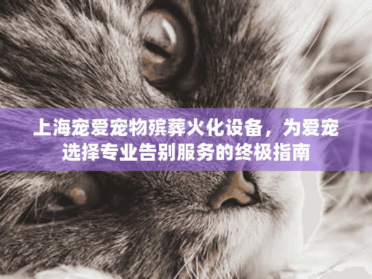 上海宠爱宠物殡葬火化设备，为爱宠选择专业告别服务的终极指南