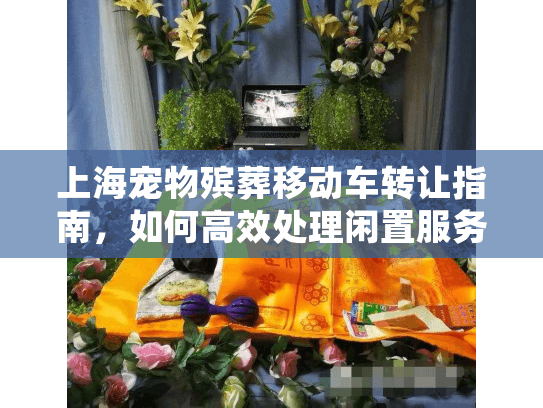 上海宠物殡葬移动车转让指南，如何高效处理闲置服务车？