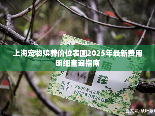上海宠物殡葬价位表图2025年最新费用明细查询指南